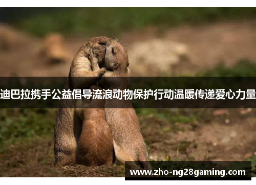 迪巴拉携手公益倡导流浪动物保护行动温暖传递爱心力量